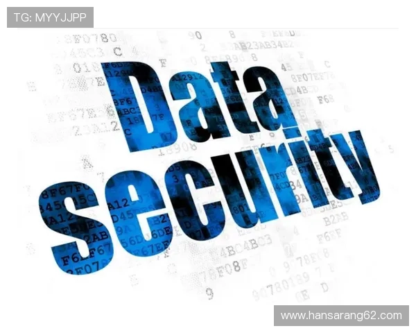 深入解读e尊官方的安全性与隐私保护措施